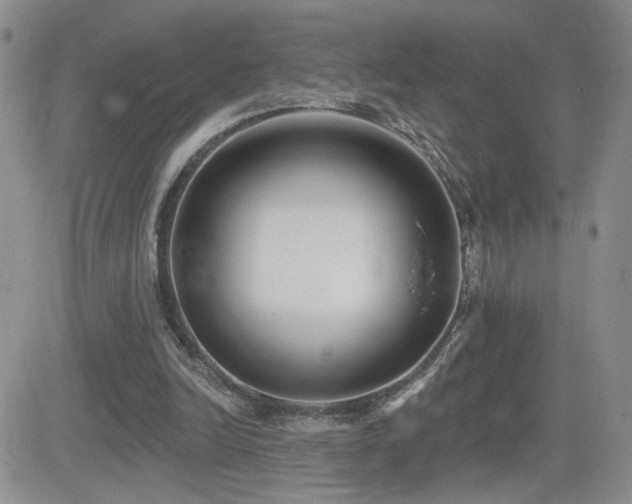 X0000082680246200701261202