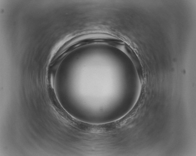 X0000082680248200701261203