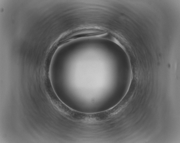 X0000082680256200701261203