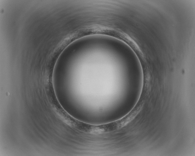 X0000082680257200701261203
