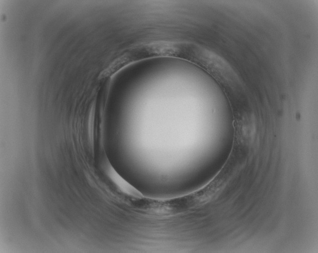 X0000082680263200701261203