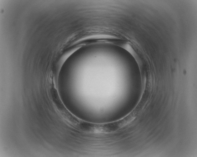 X0000082680264200701261203