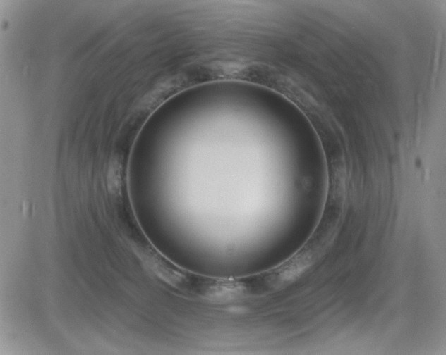 X0000082680274200701261203