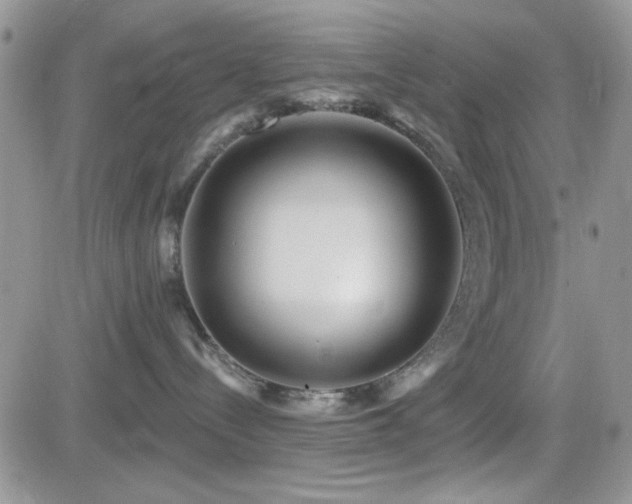 X0000082680288200701261203