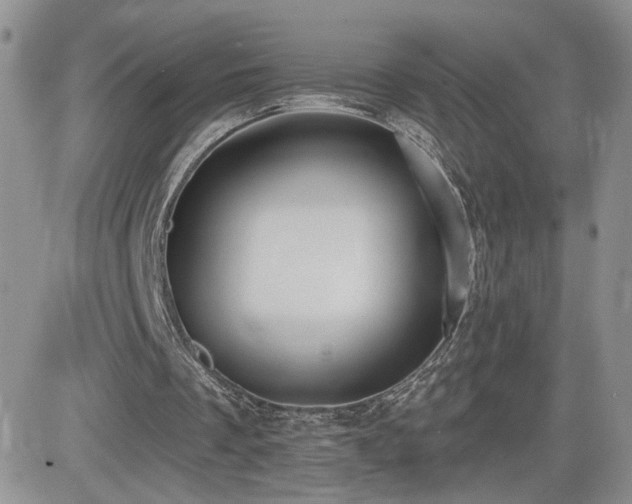 X0000082680289200701261202