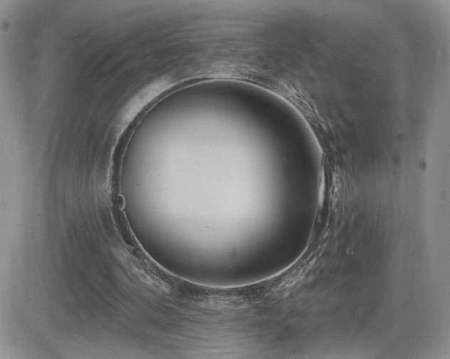 X0000082680292200701261202