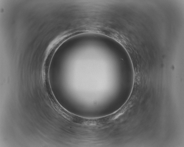 X0000082680294200701261202