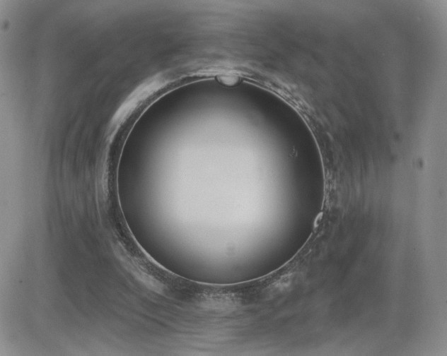 X0000082680296200701261202
