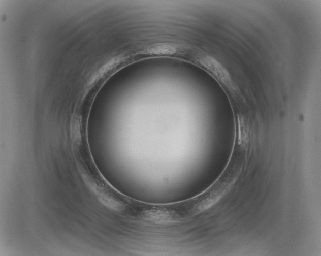 X0000082680300200701261202