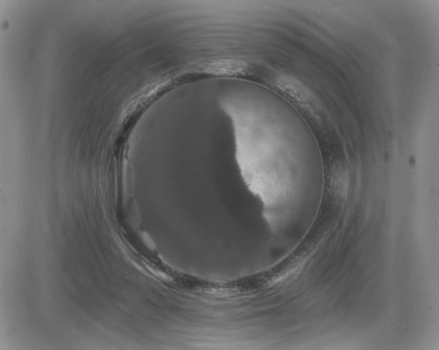 X0000082680303200701261202