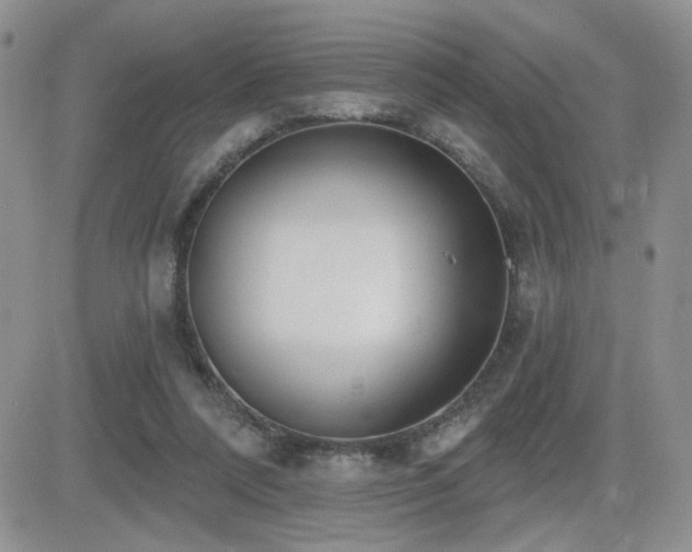 X0000082680304200701261202