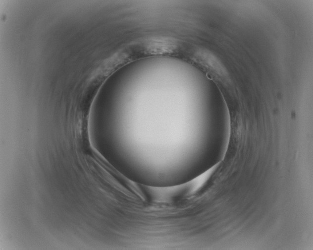 X0000082680315200701261202
