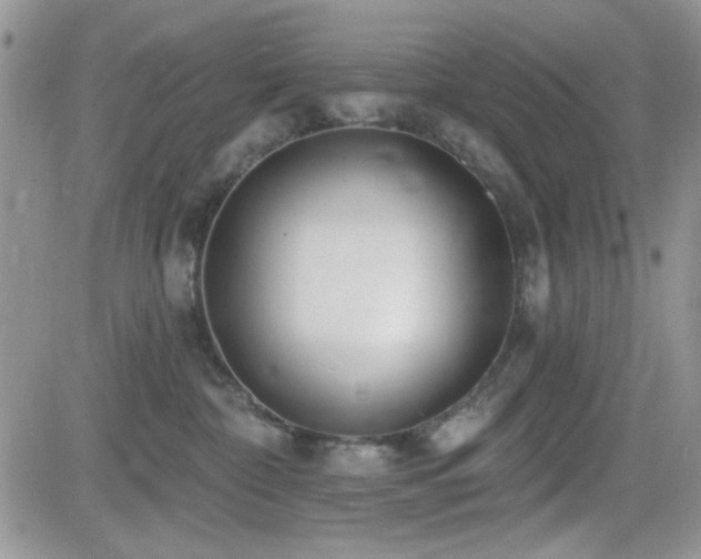 X0000082680332200701261202