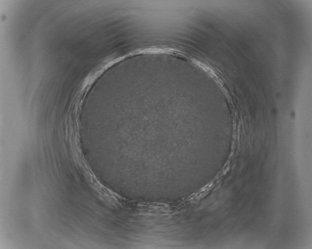 X0000082680337200701261201