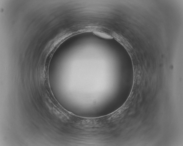 X0000082680338200701261201