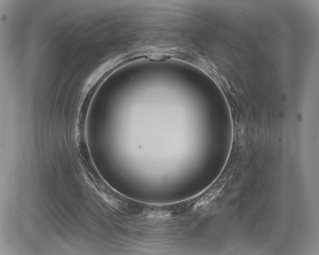 X0000082680340200701261201