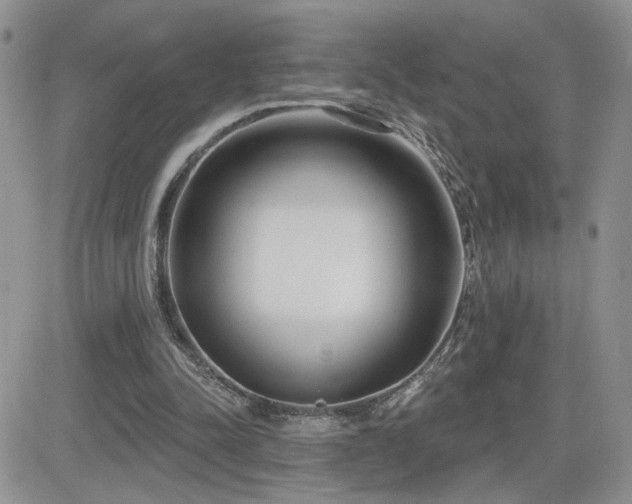 X0000082680342200701261201
