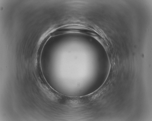 X0000082680344200701261201