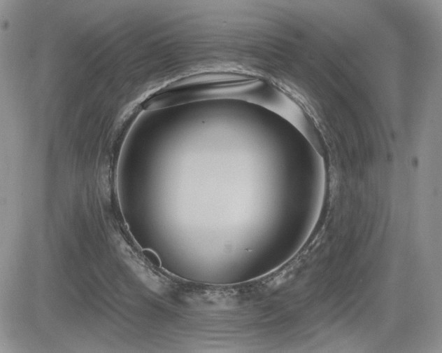 X0000082680345200701261201