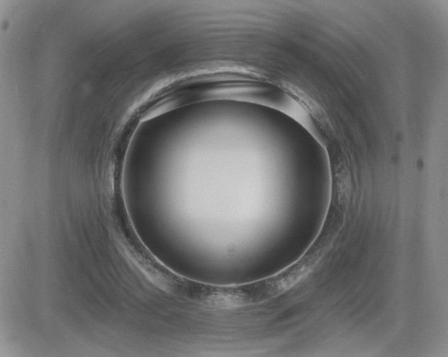 X0000082680350200701261201