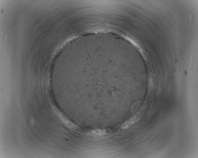 X0000082680353200701261201