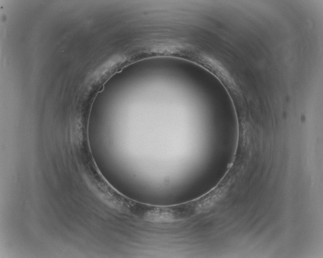 X0000082680354200701261201