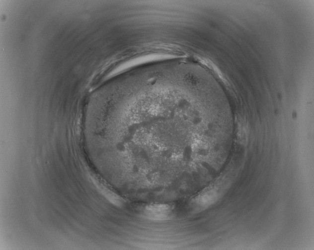 X0000082680357200701261201