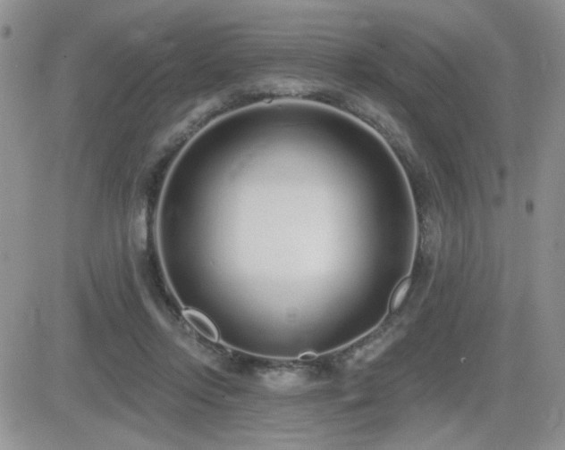 X0000082680358200701261201