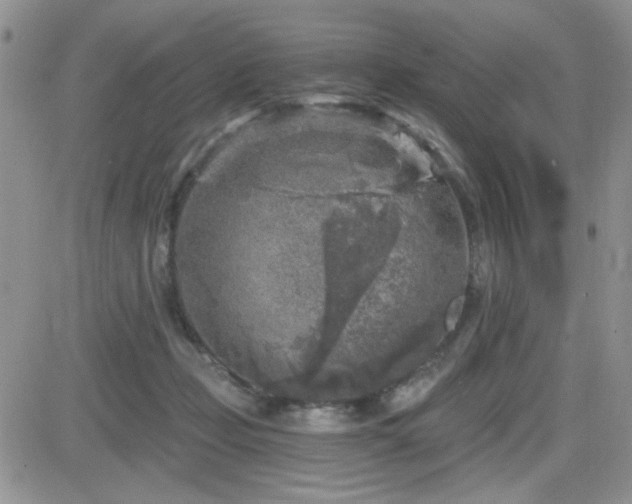 X0000082680365200701261201