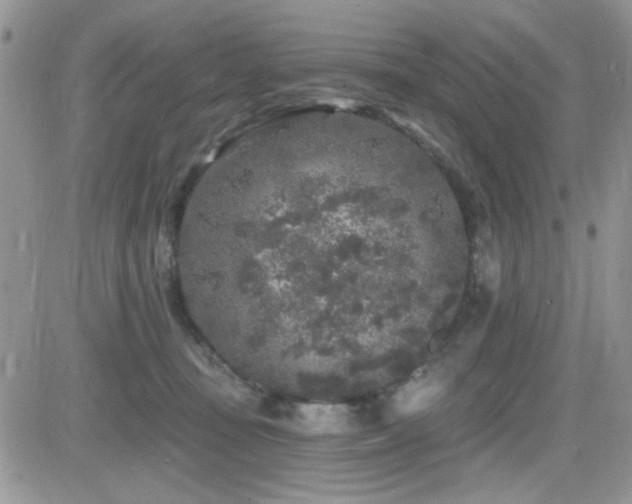 X0000082680371200701261201