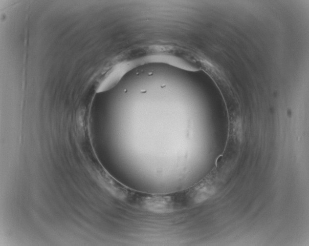 X0000082680373200701261201