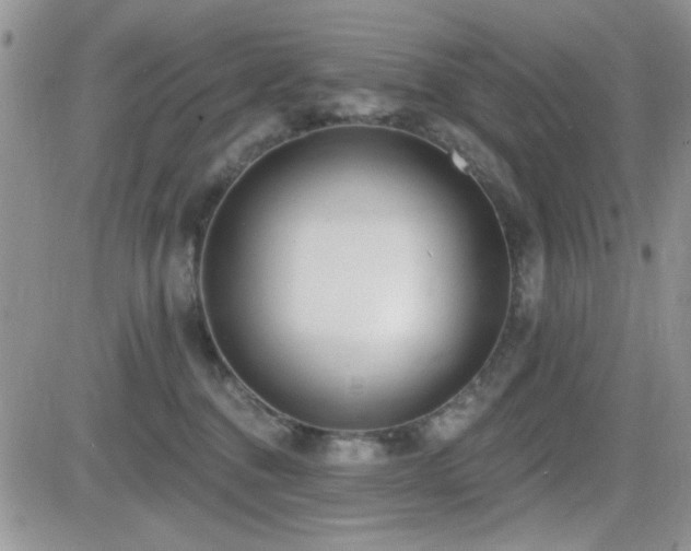 X0000082680376200701261201