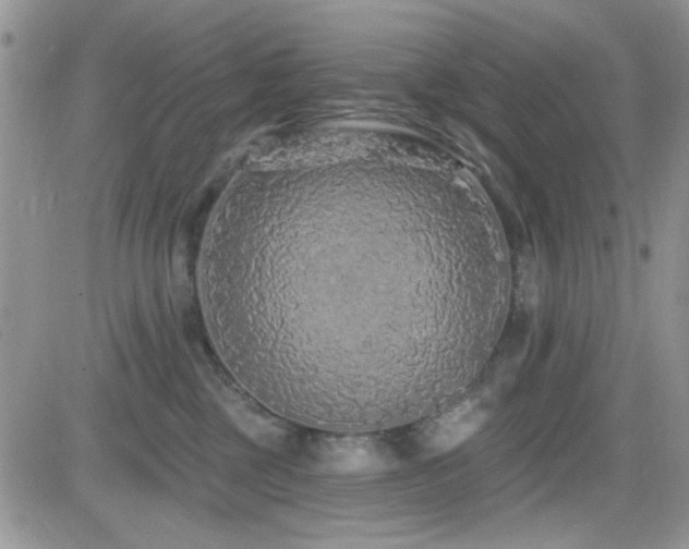 X0000082680377200701261201