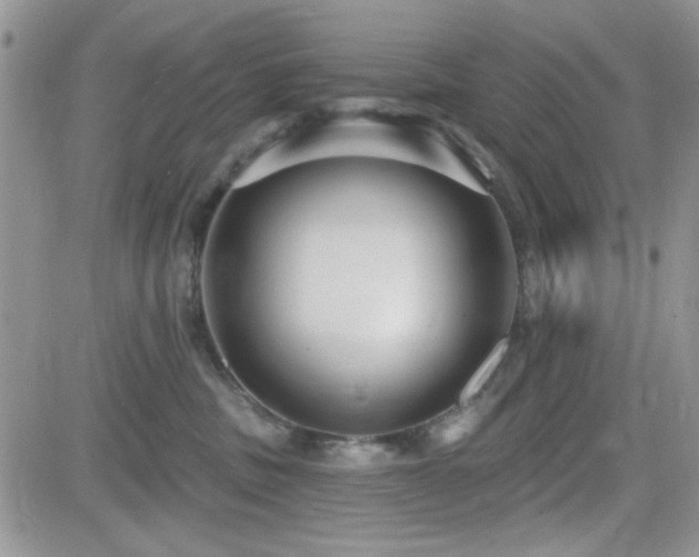 X0000082680379200701261202