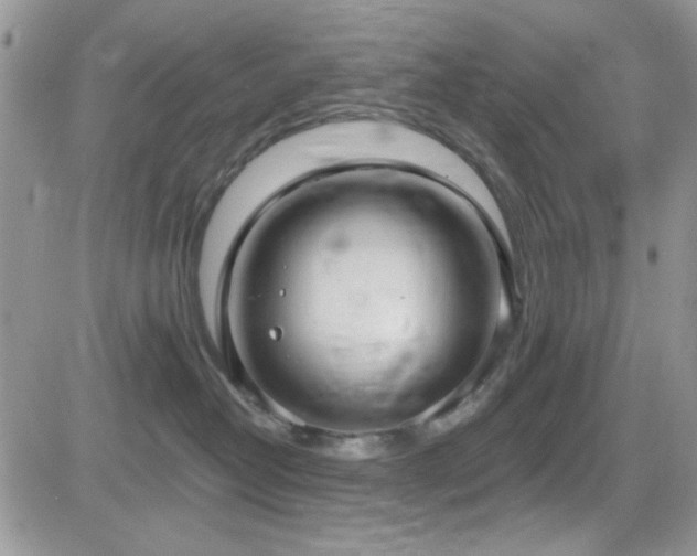 X0000082680382200701261202