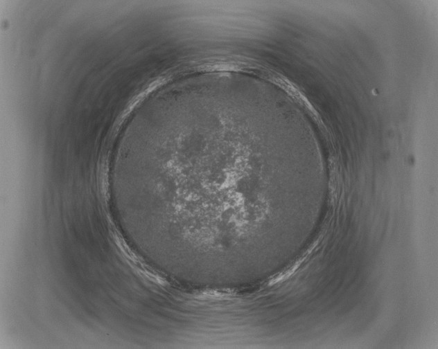 X0000082680386200701261201