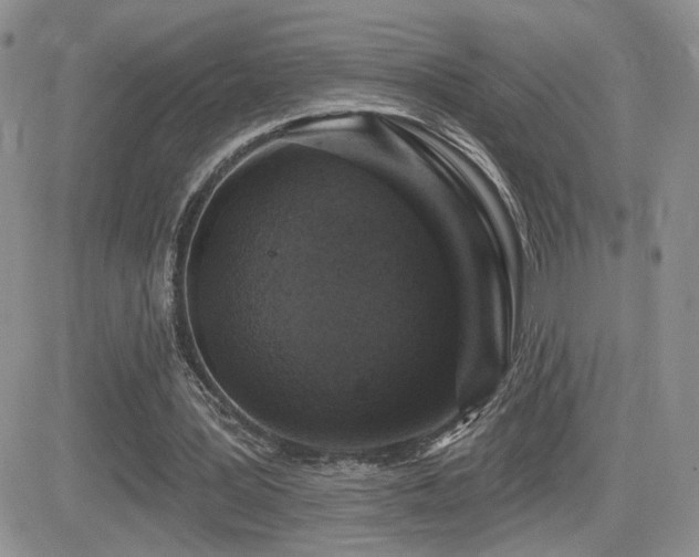 X0000082680387200701261201