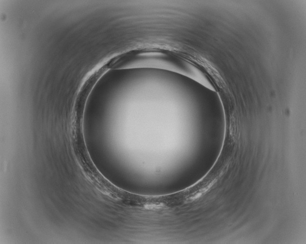 X0000082680388200701261201
