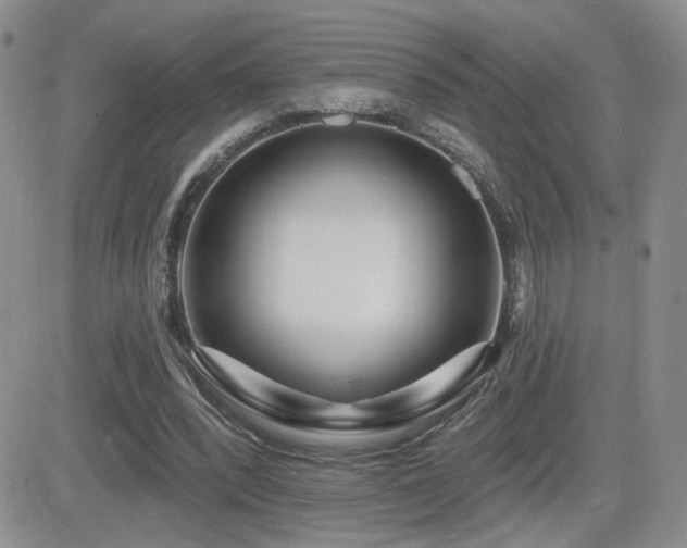 X0000082680392200701261201