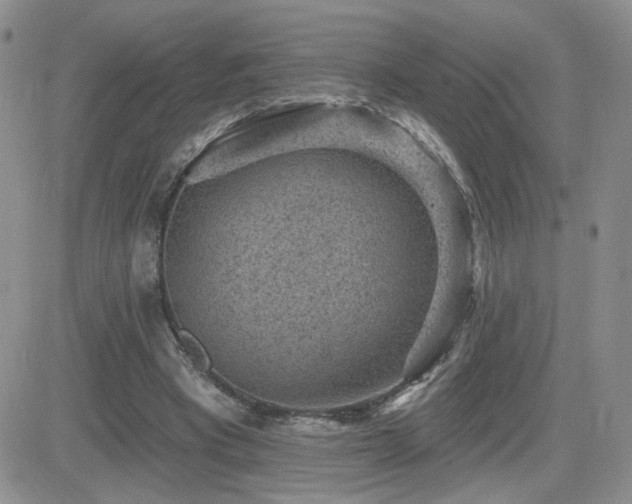 X0000082680393200701261201