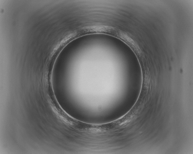 X0000082680394200701261201