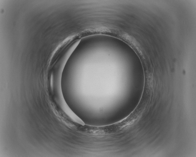 X0000082680395200701261201