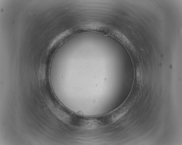 X0000082680396200701261201