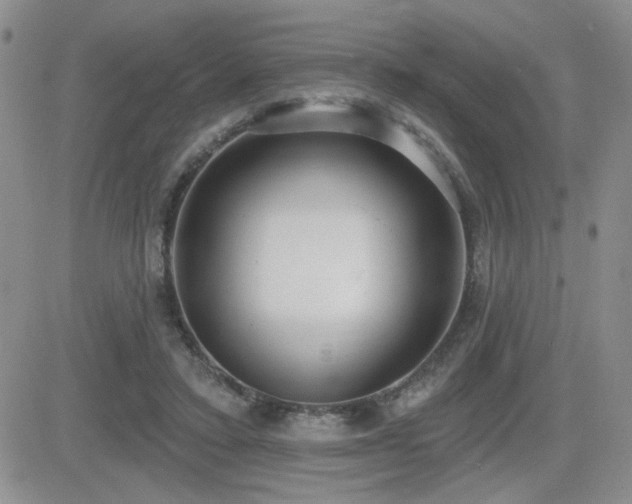 X0000082680403200701261201