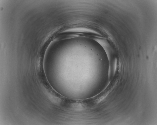 X0000082680404200701261201