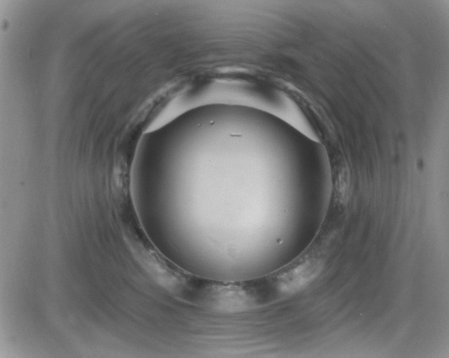 X0000082680424200701261200