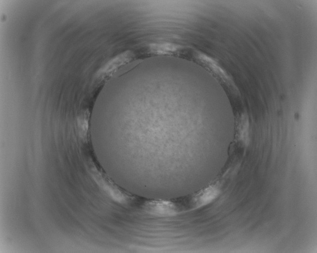 X0000082680427200701261200