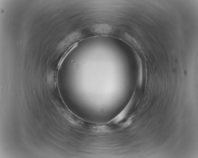 X0000082680428200701261200