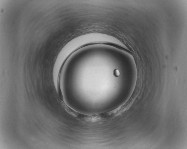 X0000082680432200701261200