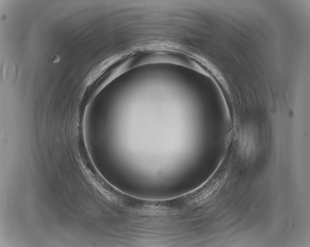 X0000082680437200701261159